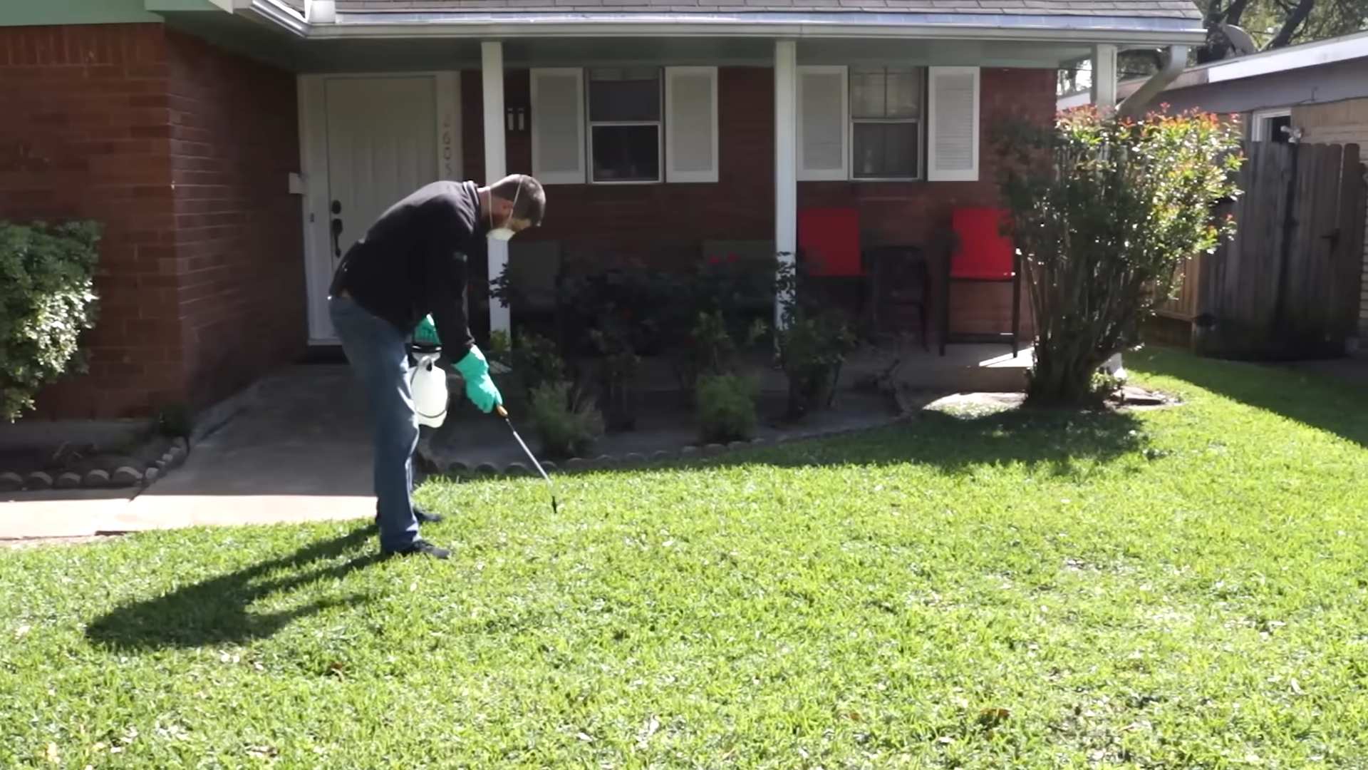 Natürliche Schädlingsbekämpfung Garten